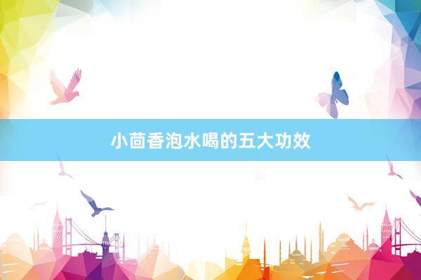 小茴香泡水喝的五大功效
