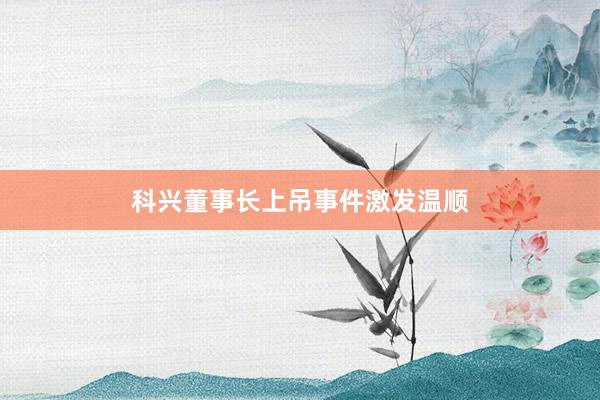 科兴董事长上吊事件激发温顺